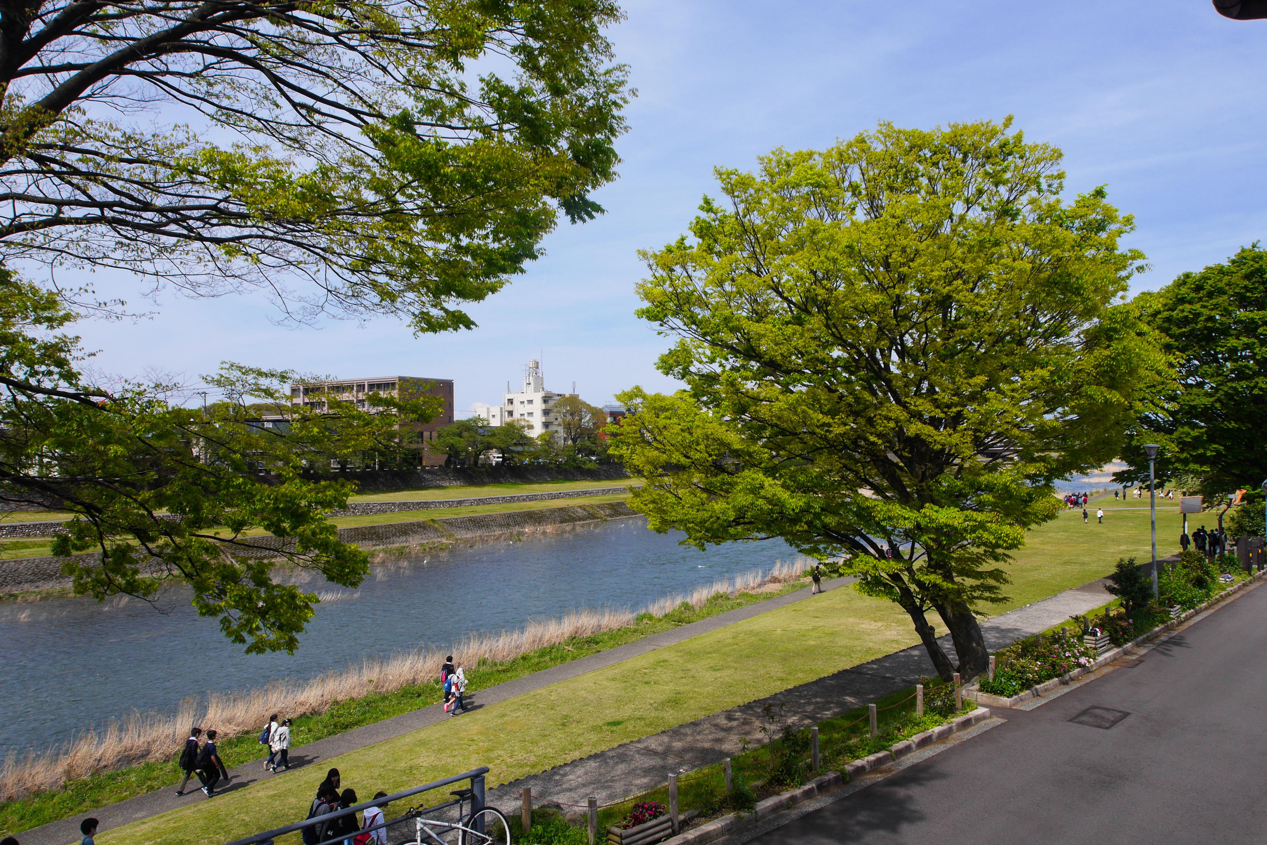 20170427-P1300292