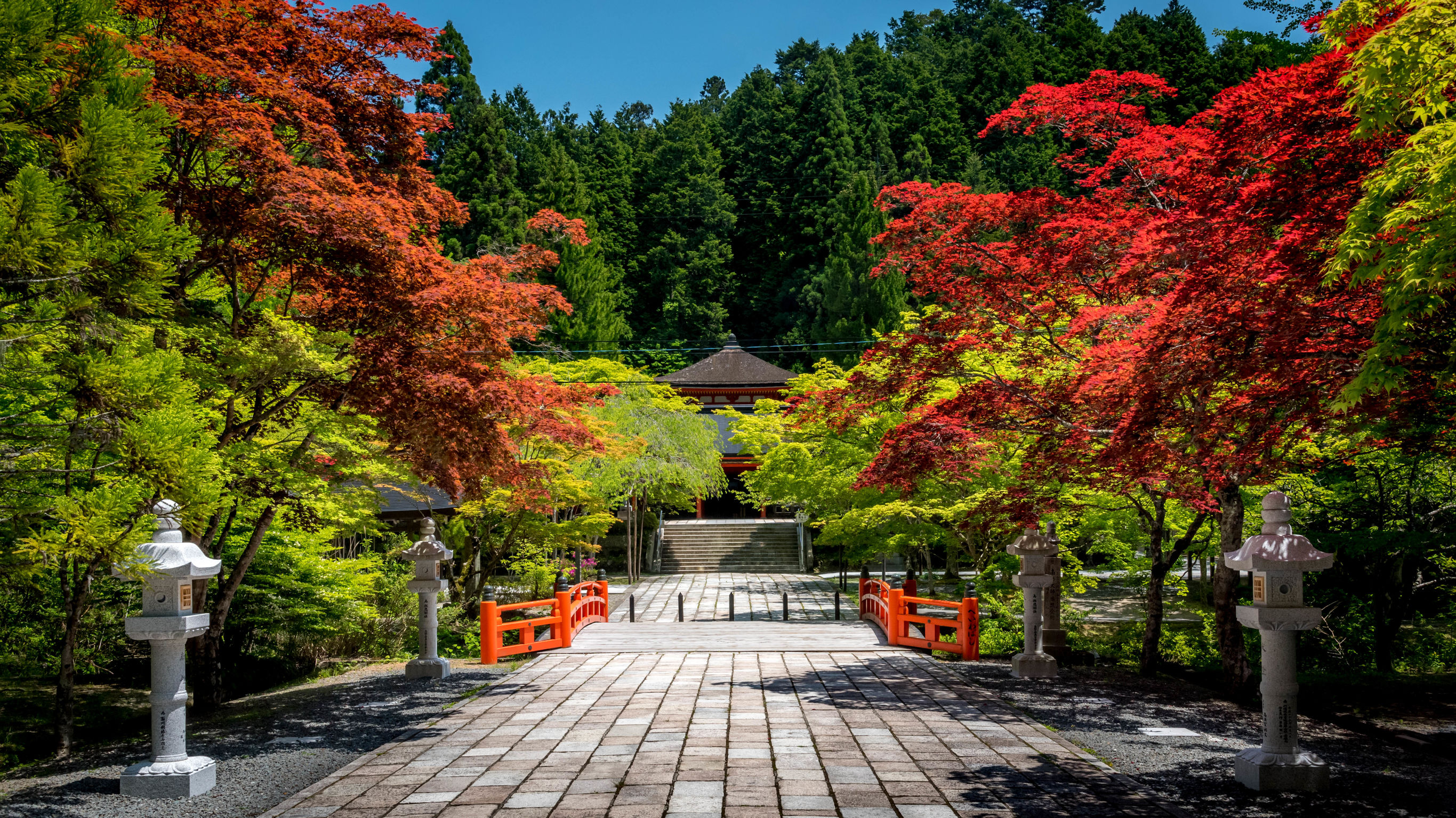 Beautiful nature and autumn foliage in Koyasan sacred valley