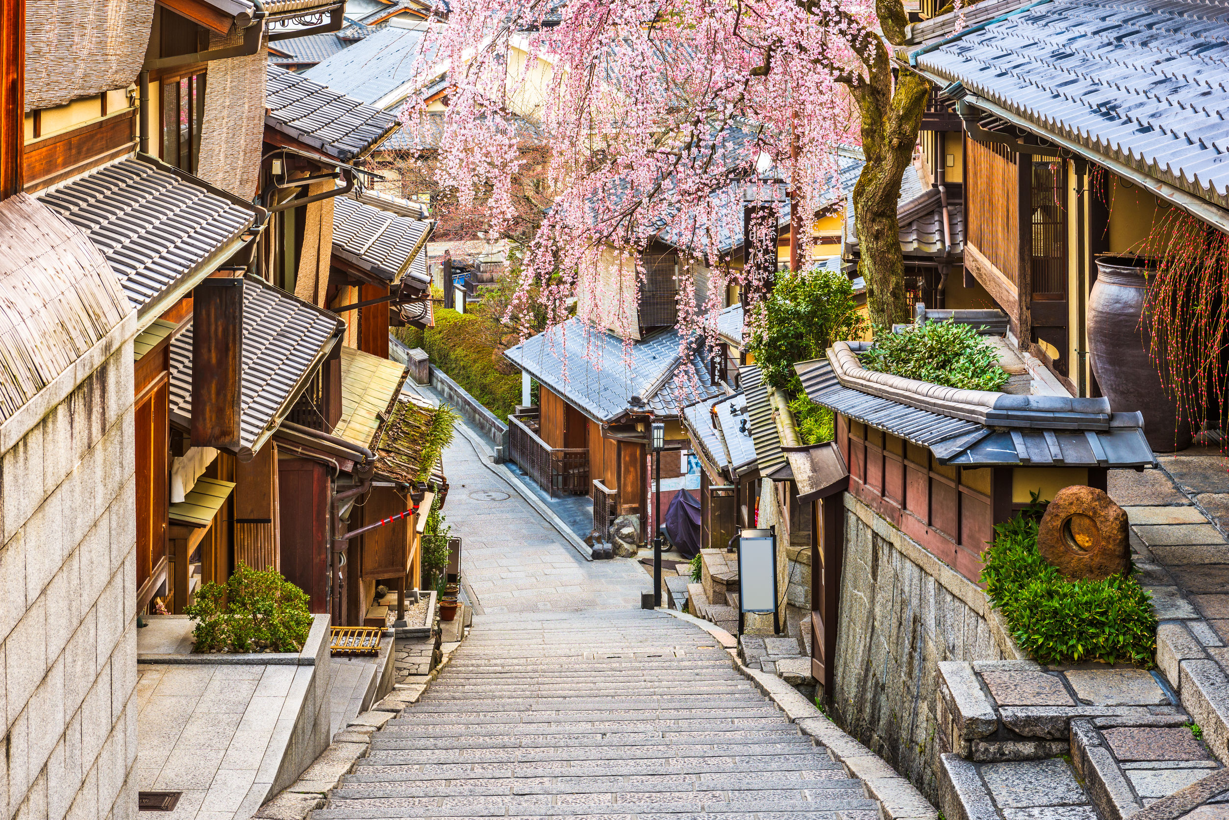 Old streets in Gion, traditional Kyoto district, during sakura season : a must-see when visiting Kyoto