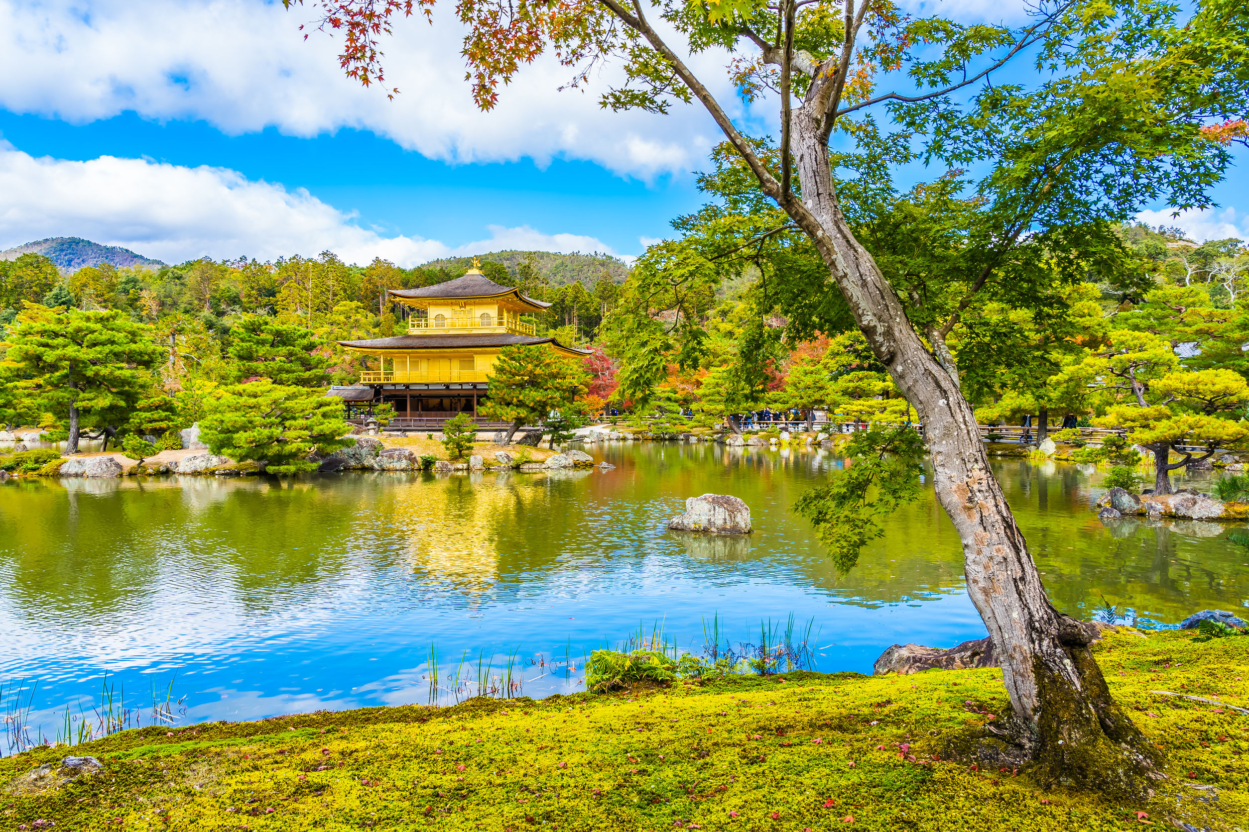 Golden Pavilion Kinkaku-ji : a must-see in Kyoto ancient capital
