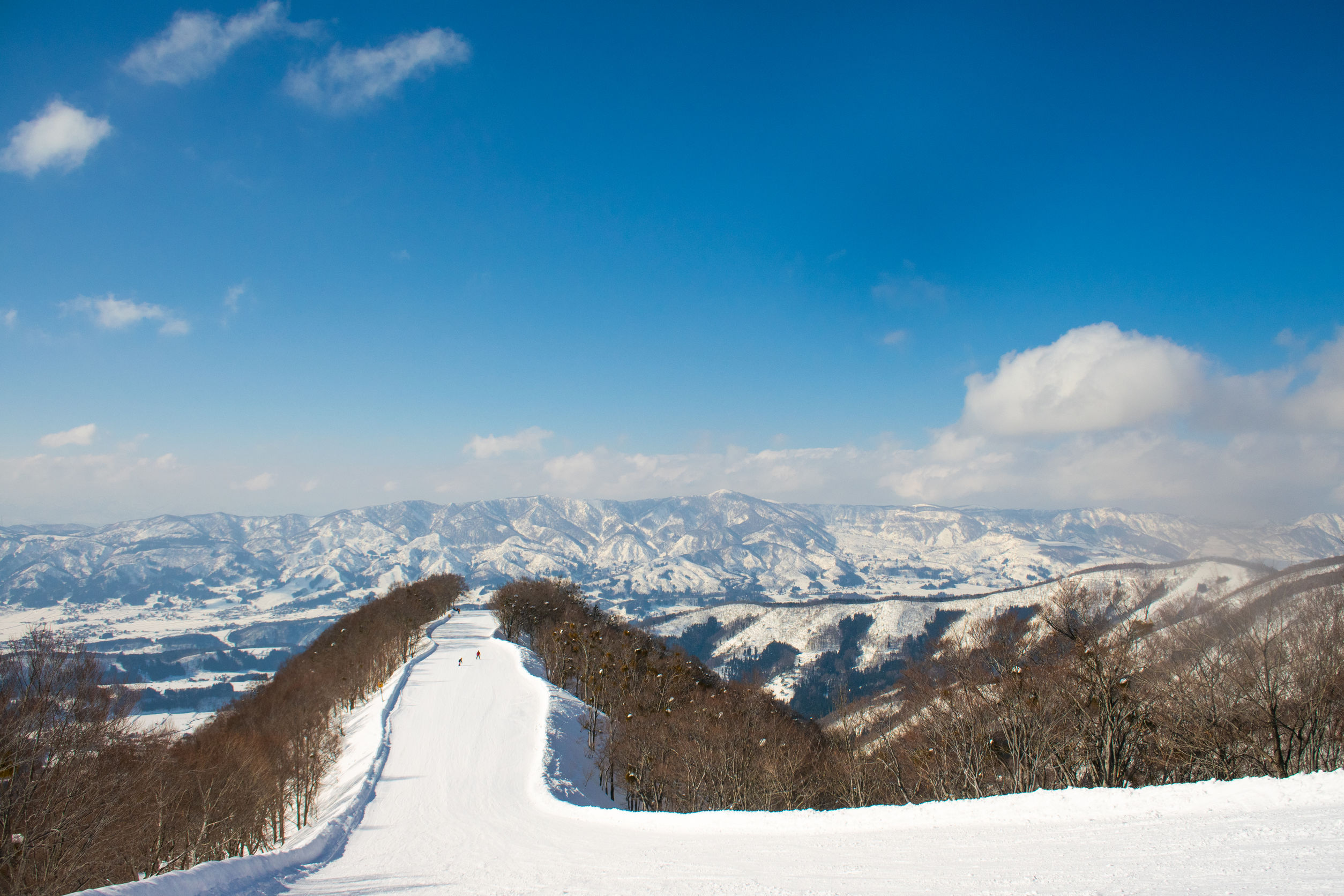 Ski slope in Nozawa Onsen ski resort, in the Japanese Alps
