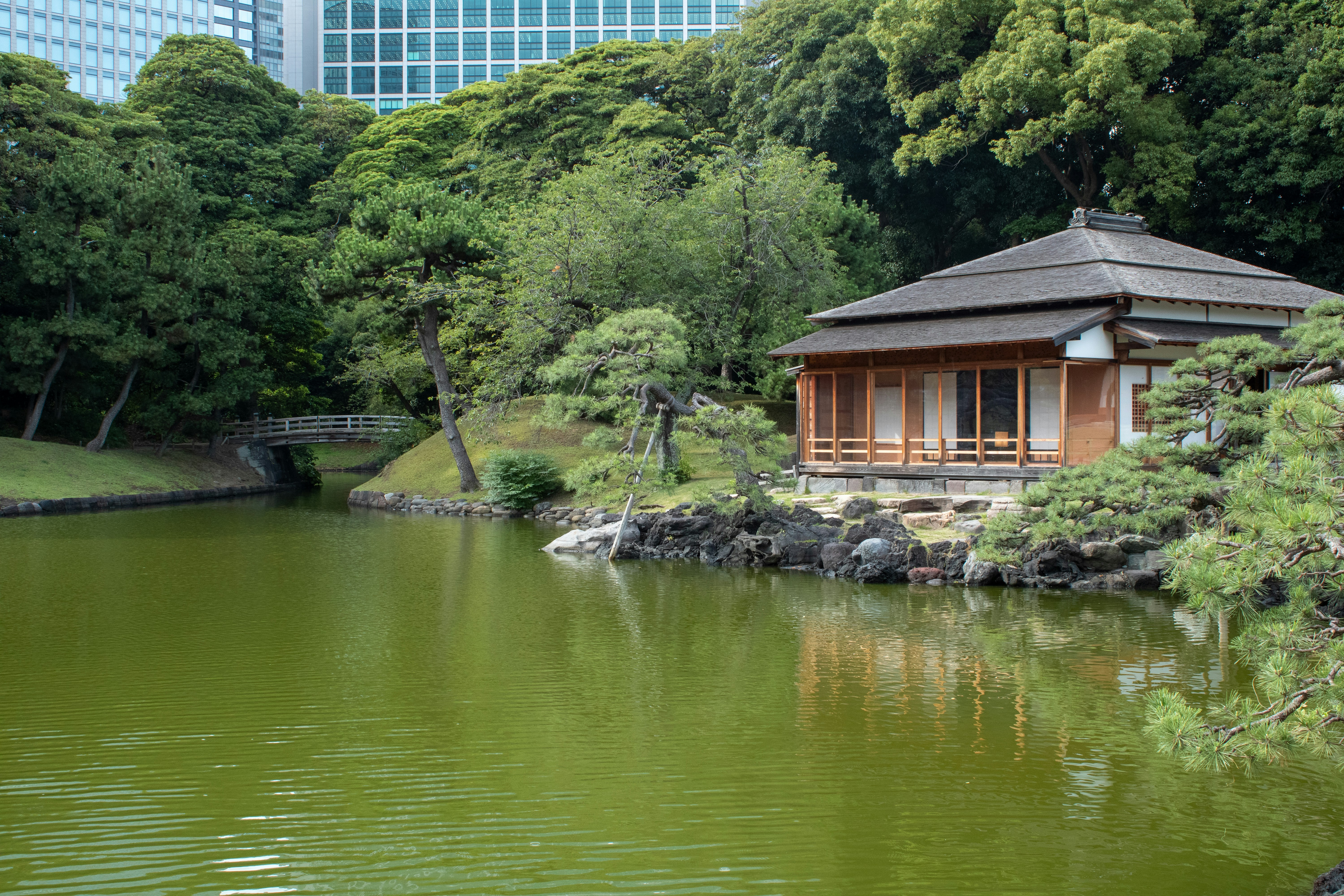 gazebo in the middle of a pond surrounded by trees