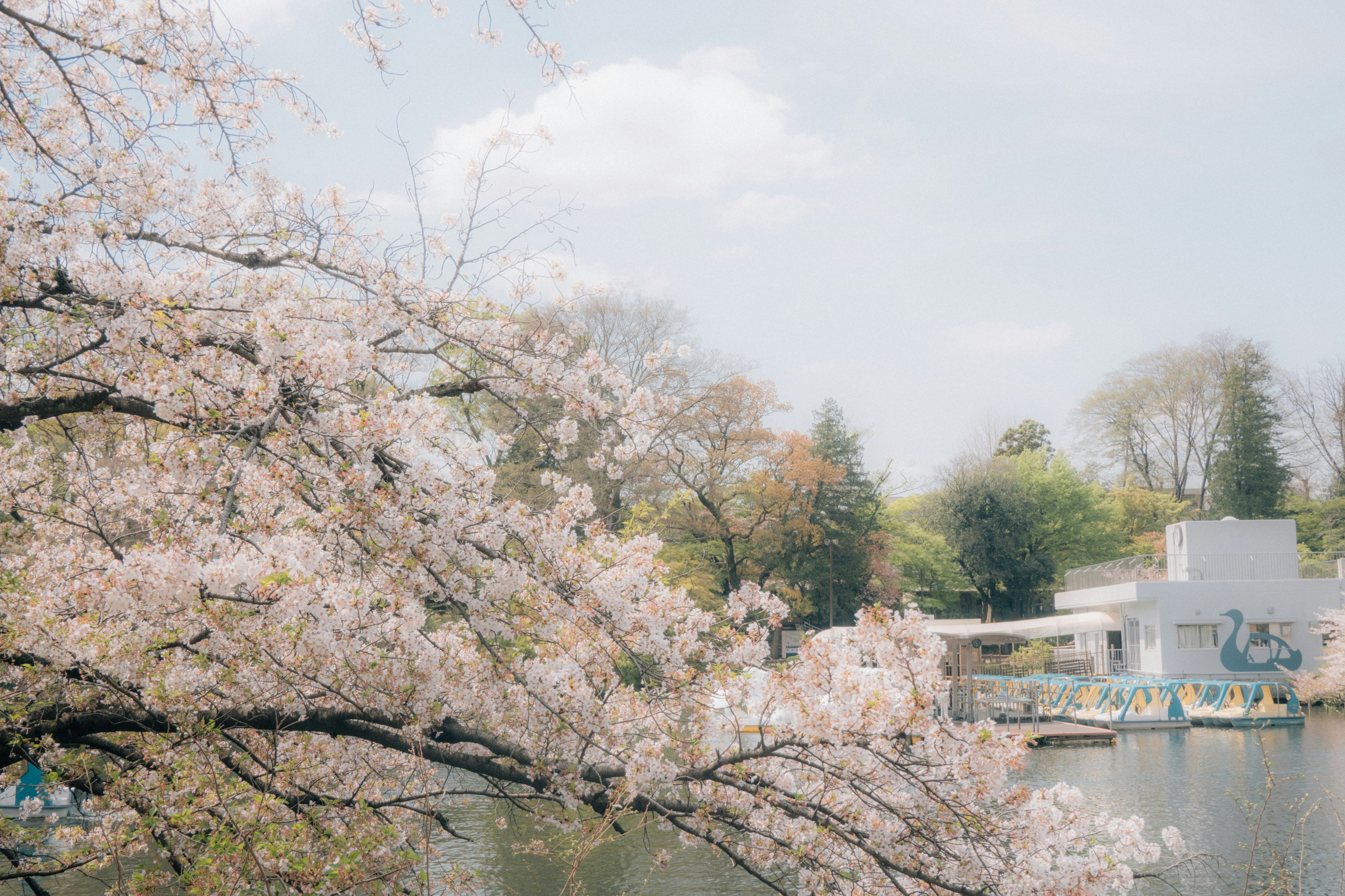 Tokyo