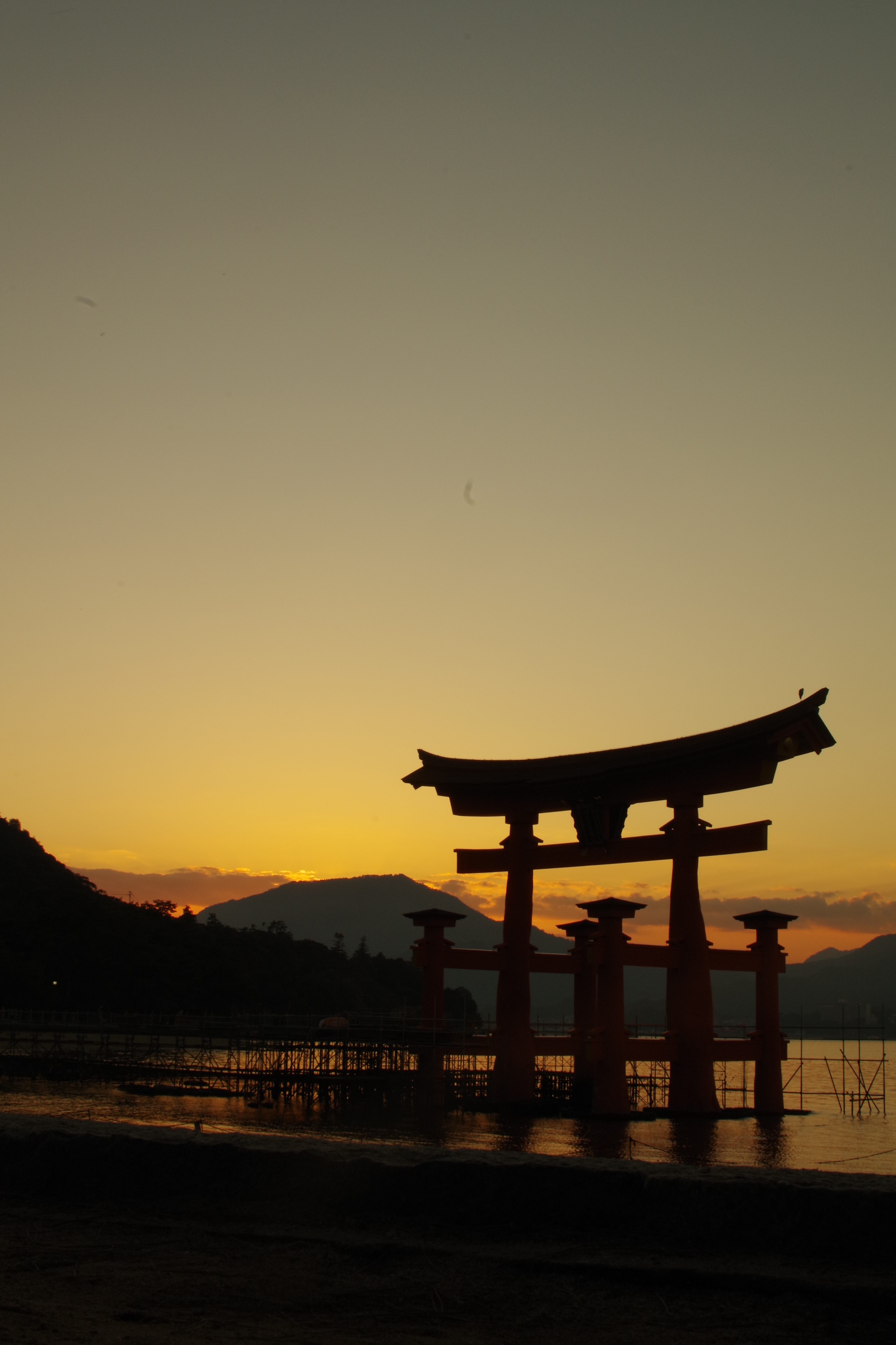 Torii in the middle of water during the night