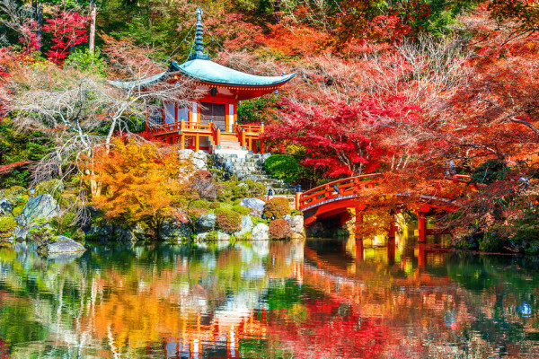 big-ticket-image-68706db45e6ca360969169-thumbnail-360x240.jpg
