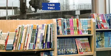 A Yaoi department in a Kunikoniya bookstore
