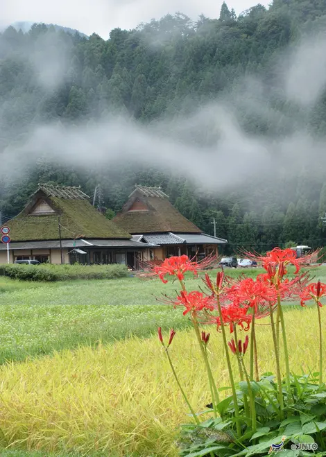 Miyama