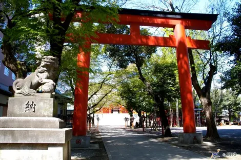 Il santuario Hanazono Jinja offre una pausa spirituale dai grattacieli di Shinjuku (Tokyo).
