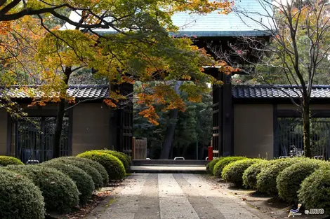 El templo Gotoku-ji tal vez fue posible gracias a un gato que le salvó la vida a un noble. Desde entonces el manekineko es un emblema de Japón.