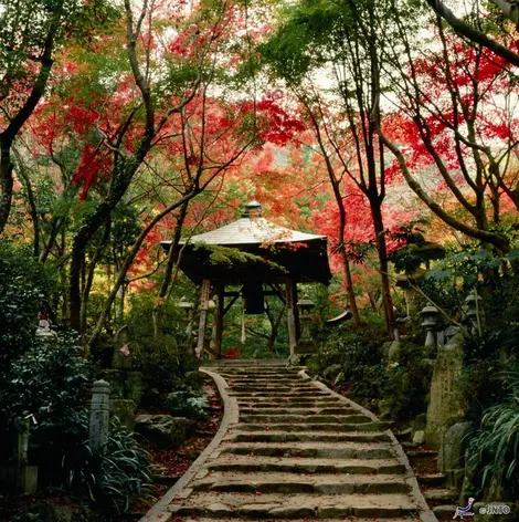 Ascenso al templo Mitakidera 