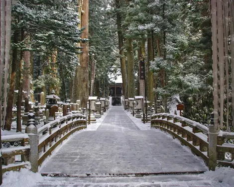 Cimetière Okunoin à Koyasan