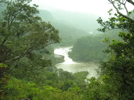 Las cascadas Kampire del río Urauchi en la isla Iriomote.