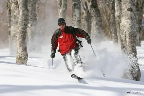 La région de Niigata comprend aussi plusieurs stations de ski