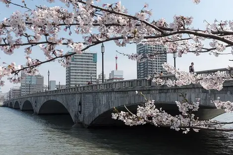 Le pont Bandai au moment des cerisiers en fleurs