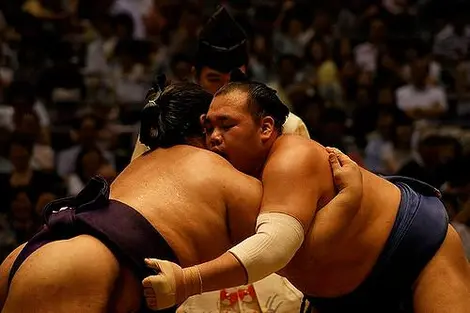 Compétition de sumo au gymnase de la ville de Nagoya