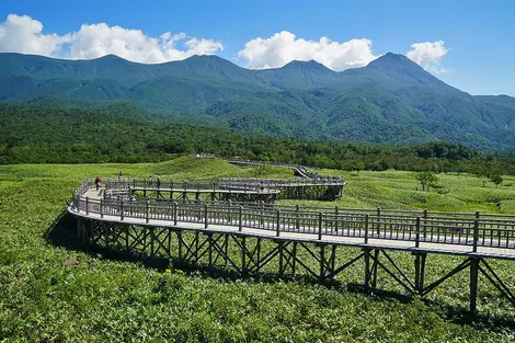 Promenade en hauteur à Shiretoko