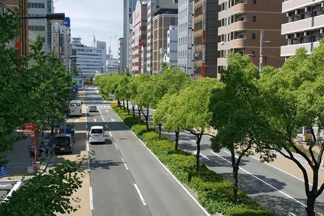 Kobe