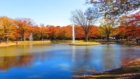 Yoyogi-koen