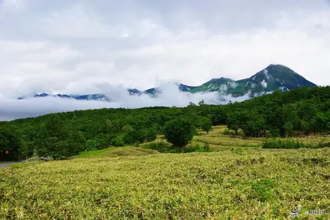 Péninsule de Shiretoko