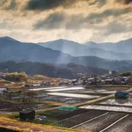 Campagne japonaise dans la région des Alpes Japonaises