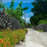 L'île village de Taketomi, dans l'archipel d'Okinawa est à découvrir en vélo ou à pied. Les maisons sont souvent surmontées de shisa, l'animal mythique de l'archipel.