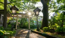 Torri gate over a path that is lined by trees