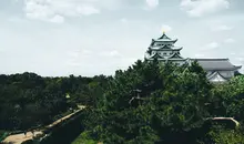 Castle on top of a hill surrounded by trees.
