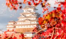 Himeji Castle, UNESCO World Heritage, under the colors of autumn