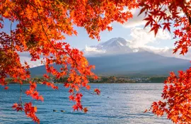 Visit Mount Fuji in Fall season