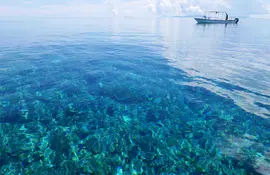 Les plages et eaux paradisiaques de l'île d'Ishigaki dans l'archipel d'Okinawa, en font une destination de choix à moins de 3h de vol de Tokyo