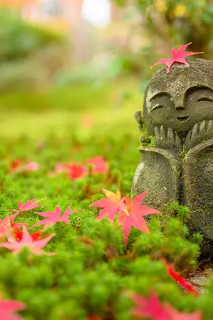 Red Maple leaf on head of little Japanese Buddhist monk doll rock in Japanese Garden