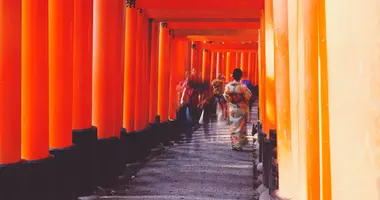 Group Tours