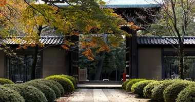 El templo Gotoku-ji tal vez fue posible gracias a un gato que le salvó la vida a un noble. Desde entonces el manekineko es un emblema de Japón.