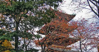 Accanto al Museo Nazionale di Tokyo, a Ueno, il tempio buddista Kanei-ji contiene le tombe di sei shogun.