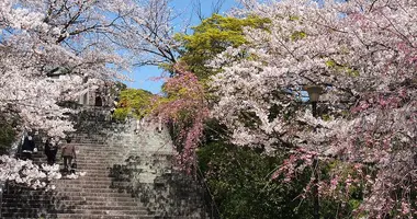 Nishi koen park steps, near Terumo jinja shrine, Fukuok