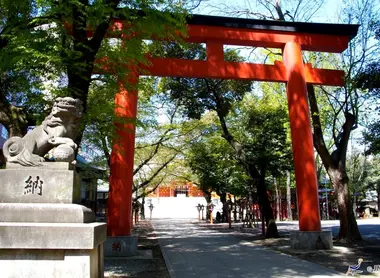 Il santuario Hanazono Jinja offre una pausa spirituale dai grattacieli di Shinjuku (Tokyo).