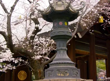Le sanctuaire Yasukuni-jinja à Tokyo se place dans un environnement consacré à l’Histoire de la guerre au Japon.