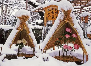 La floraison des pivoines d’hiver protégées par un chapiteau de paille, est un ravissement du sanctuaire Tosho-gu à Tokyo.