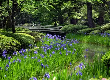 Jardin Kenroku-en