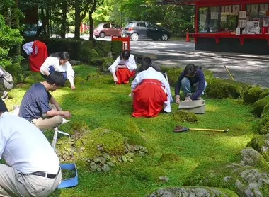 Hakone Jinja