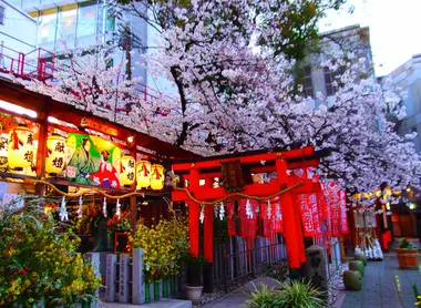 El torii del santuario Ohatsu Tenjin.