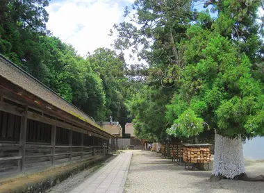 Los jukusha del Izumo Taisha donde vienes los kami en noviembre. 
