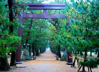 La vía central para llegar al Izumo Taisha está reservada a los kami, si la usas es a tu propio riesgo.