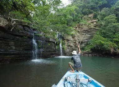 La selva de la isla Iriomote