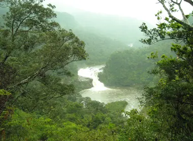 Las cascadas Kampire del río Urauchi en la isla Iriomote.