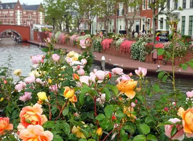  El parque temático Huis Ten Bosch.