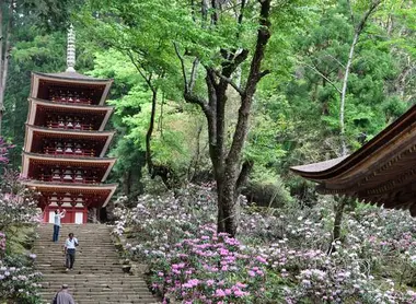 Le temple de Muroji est immergé dans la forêt, à Asuka