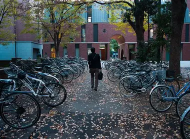 Un parking à vélos comme on en trouve partout au Japon.