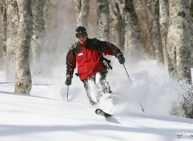 La région de Niigata comprend aussi plusieurs stations de ski