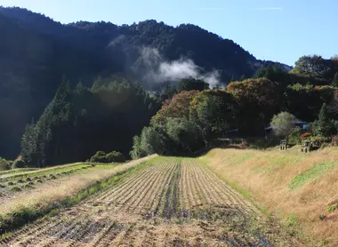 El campo cerca de O Tsumago.